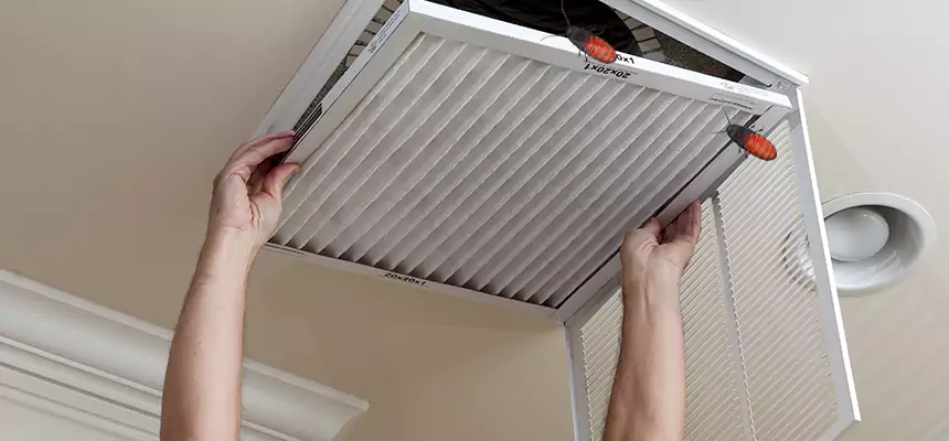 Our Insect Removal from Air Ducts Services in Monroe, WA