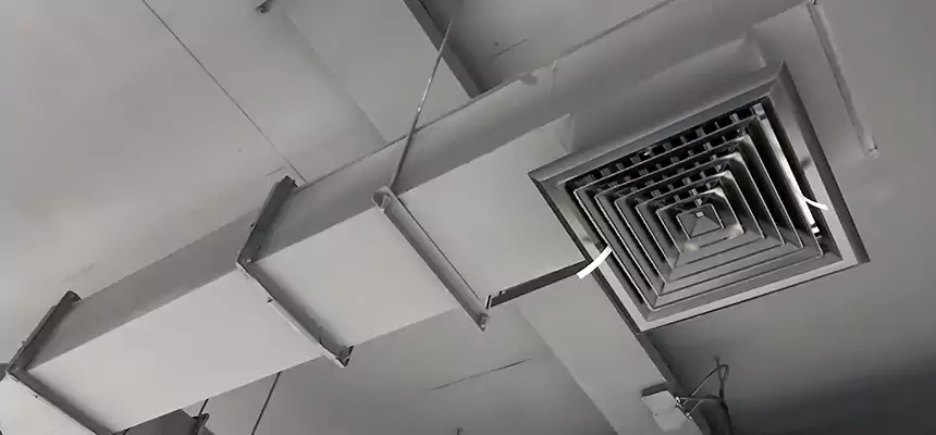 Our Rodent Droppings In Vents Services in Monroe, WA