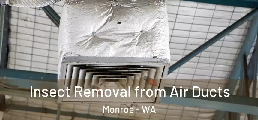  Insect Removal from Air Ducts Monroe - WA