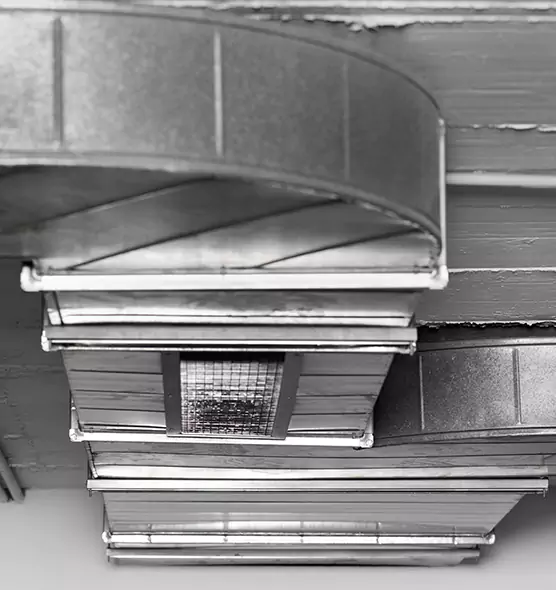 Professional Air Duct Pest Removal in Monroe, WA