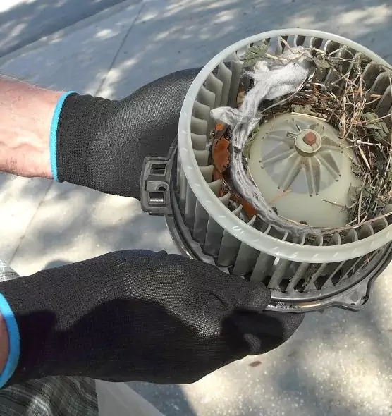 About Air Duct Rat Removal in Monroe, WA