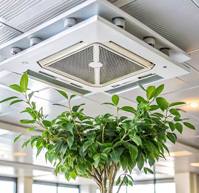 Why Homeowners & Businesses Trust Us in Monroe, WA