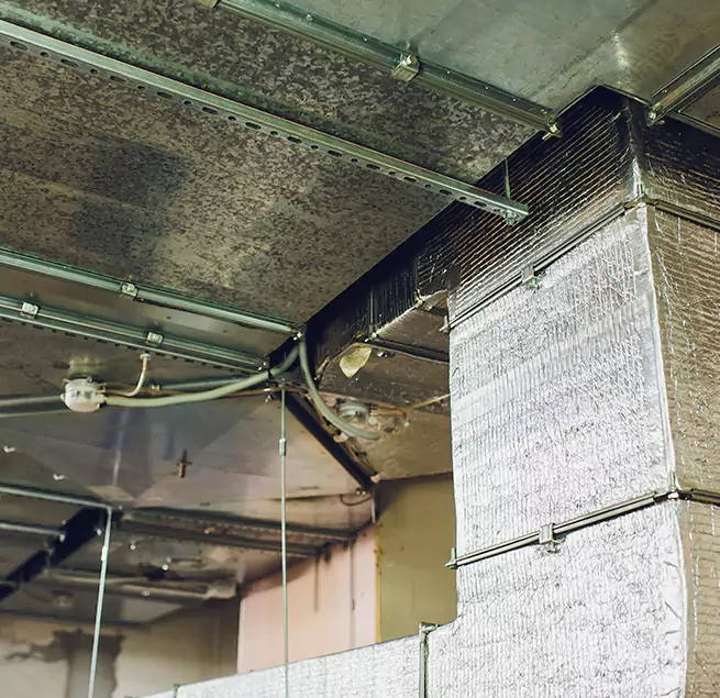 Why Homeowners & Businesses Trust Us in Monroe, WA?